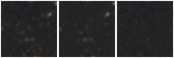 Missing file AGC219198-custom-montage-W1W2.png