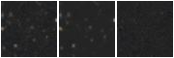 Missing file AGC219199-custom-montage-W1W2.png