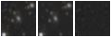 Missing file PGC034483-custom-montage-W1W2.png
