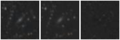 Missing file PGC034629-custom-montage-W1W2.png