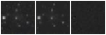Missing file PGC086629-custom-montage-W1W2.png