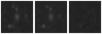 Missing file PGC2333993-custom-montage-W1W2.png
