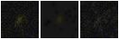 Missing file PGC2569214-custom-montage-FUVNUV.png