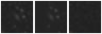 Missing file PGC2571768-custom-montage-W1W2.png