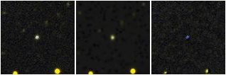 Missing file PGC3288593-custom-montage-FUVNUV.png