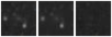 Missing file SDSSJ111850.46+034548.8-custom-montage-W1W2.png