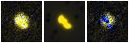 Missing file VFID3784-custom-montage-FUVNUV.png