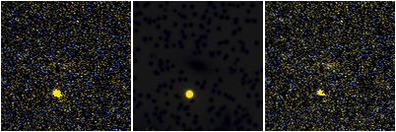 Missing file VFID3886-custom-montage-FUVNUV.png