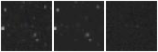 Missing file AGC219201-custom-montage-W1W2.png