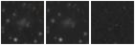 Missing file PGC034791-custom-montage-W1W2.png