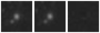 Missing file PGC034831-custom-montage-W1W2.png