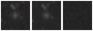 Missing file PGC1420152-custom-montage-W1W2.png