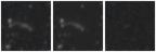Missing file PGC2064608-custom-montage-W1W2.png