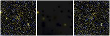 Missing file PGC2134922-custom-montage-FUVNUV.png