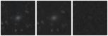 Missing file PGC2161501-custom-montage-W1W2.png