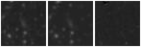 Missing file PGC2466599-custom-montage-W1W2.png