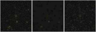 Missing file PGC2572109-custom-montage-FUVNUV.png