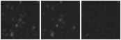 Missing file PGC2572109-custom-montage-W1W2.png