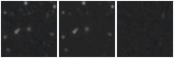 Missing file PGC2584578-custom-montage-W1W2.png