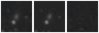 Missing file PGC2584984-custom-montage-W1W2.png
