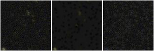 Missing file PGC3288547-custom-montage-FUVNUV.png