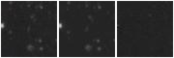 Missing file PGC5065938-custom-montage-W1W2.png