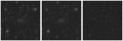 Missing file SDSSJ112017.00+452322.5-custom-montage-W1W2.png