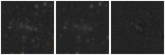 Missing file SDSSJ112151.33+032417.4-custom-montage-W1W2.png