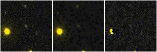 Missing file VFID6730-custom-montage-FUVNUV.png