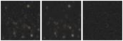 Missing file AGC215296-custom-montage-W1W2.png