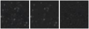Missing file AGC219202-custom-montage-W1W2.png