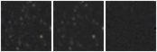 Missing file AGC219446-custom-montage-W1W2.png