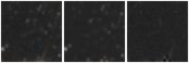 Missing file AGC729579-custom-montage-W1W2.png