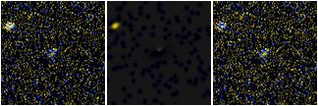 Missing file AGC749435-custom-montage-FUVNUV.png