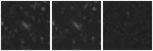 Missing file PGC035127-custom-montage-W1W2.png