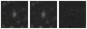 Missing file PGC087026-custom-montage-W1W2.png