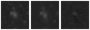 Missing file PGC1262899-custom-montage-W1W2.png