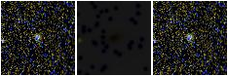 Missing file PGC2152098-custom-montage-FUVNUV.png