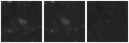 Missing file PGC2505047-custom-montage-W1W2.png