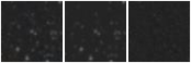 Missing file PGC2554529-custom-montage-W1W2.png
