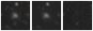 Missing file PGC2571927-custom-montage-W1W2.png