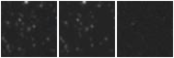 Missing file PGC2621522-custom-montage-W1W2.png