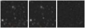 Missing file PGC3139974-custom-montage-W1W2.png