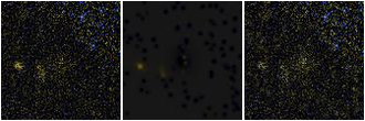 Missing file SDSSJ112443.65+383523.5-custom-montage-FUVNUV.png