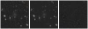 Missing file SDSSJ112443.65+383523.5-custom-montage-W1W2.png