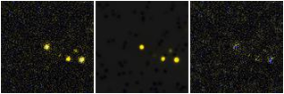 Missing file 2MASXJ11291265+3523089-custom-montage-FUVNUV.png