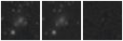 Missing file PGC035313-custom-montage-W1W2.png