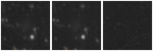 Missing file PGC035433-custom-montage-W1W2.png