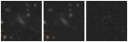 Missing file PGC035564-custom-montage-W1W2.png