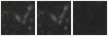 Missing file PGC1838290-custom-montage-W1W2.png
